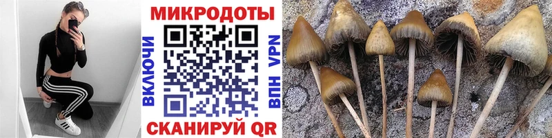 Галлюциногенные грибы Magic Shrooms  shop состав  Новая Ляля  закладки  МЕГА как войти 
